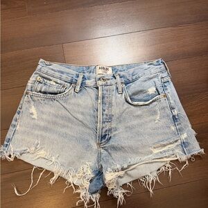 AGOLDE Parker Shorts